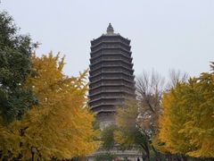 -玲珑塔公园
