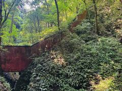 -青城山