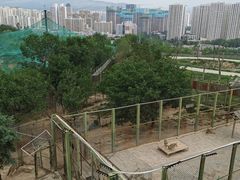 -青藏高原野生动物园