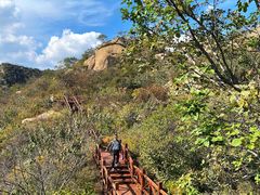 -大岭沟猕猴桃谷风景区