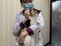 -宠爱国际动物医院·疑难骨科·心肾内科·皮肤科(太阳宫店)