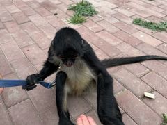 -水上乐园·欢乐世界