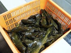 -彭大姐老店黄辣丁(新津店)