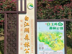 -广州白江湖森林公园