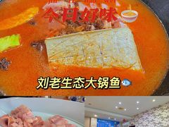 -老刘生态大鱼坊铁锅炖鱼(赛马场店)