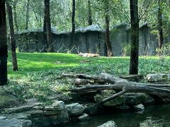 -北京野生动物园