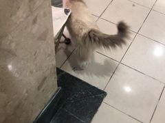 -剧狐剧本杀·月球探案馆(人民广场1号店)