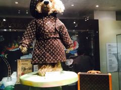 -济州岛泰迪熊博物馆