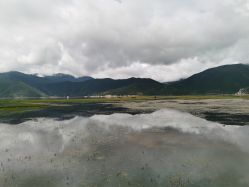 -纳帕海依拉草原