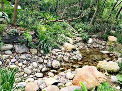 -成都市活水公园