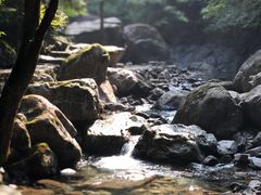 -白云源风景区
