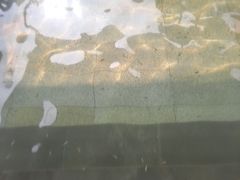 -咸宁万豪温泉谷度假区