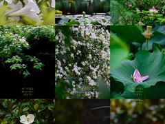 -上海植物园·停车场