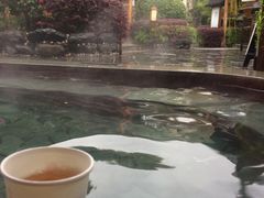 -庐山天沐温泉度假村-停车场