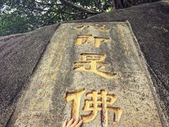 -南普陀寺