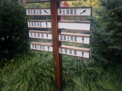 -麦积山温泉