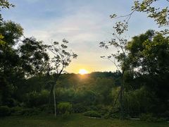 -广东惠东海龟国家级自然保护区