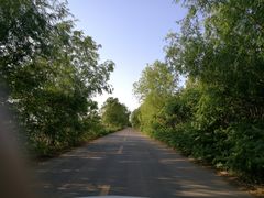 -蒲河岛湿地公园