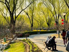 -燕郊植物园