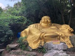 -紫金山山顶公园