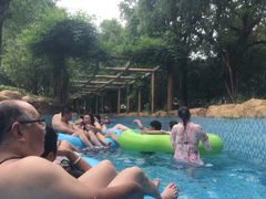 -苏州乐园森林水世界