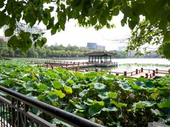 -南通濠河风景名胜区