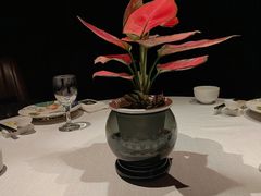 -鱼翅楼·津派砂锅鱼翅(水上公园店)