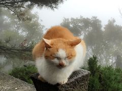 -九华山聚龙大酒店