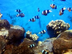 海洋世界-福州罗源湾海洋世界旅游区