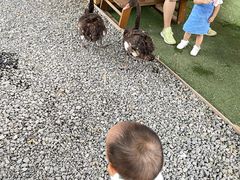 -HERRE·FARM 赫尔露营农场·团建聚会包场