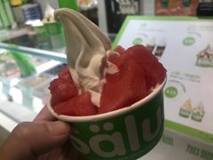-Salud撒露欧洲冻酸奶(北苑上品店)