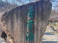 -香雪海