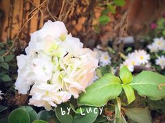 门面-二酉书店TOYOU BOOKS