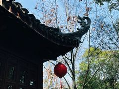 -上海醉白池公园
