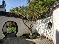 -上海醉白池公园