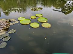 -西湖游船