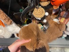 -酷乐潮玩(五道口购物中心店)