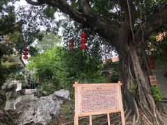 -东江渔村·古典园林·30年粤菜老字号(太和店)