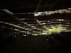 -北京周口店北京人遗址博物馆