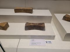 -隋唐大运河文化博物馆