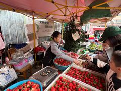 -南坛综合农贸市场