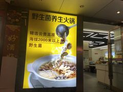 -牛知府云南菌汤鲜牛肉火锅(肖家湾店)