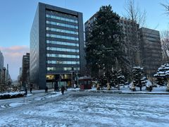 -北海道厅旧本厅舍(旧本庁舎)