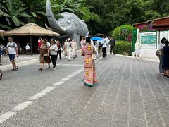 -野象谷景区