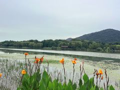 -长广溪湿地公园