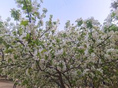 -元大都城垣遗址公园