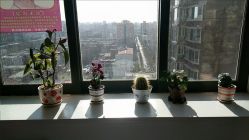 -瑶芳清颜专业祛痘皮肤管理中心