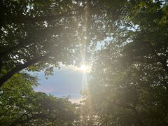 -五女山景区