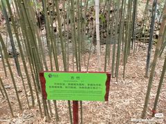 -常德桃花源景区