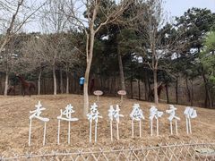 -北京西山国家森林公园